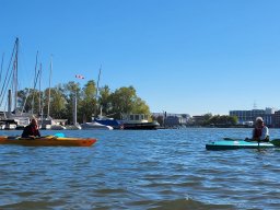 WhatsApp Image 2022-10-09 at 19.51.28